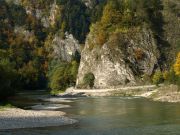 ujście Leśnickiego Potoku - Wylizana , Sama Jedna